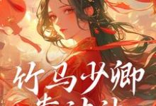 叶皖宁陆九章小说叫什么(竹马少卿靠边站,权相才是真爱完整版免费阅读)-艾米文学