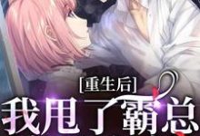 《重生后，我甩了霸总享单身夜》小说章节在线试读，《重生后，我甩了霸总享单身夜》最新章节目录-艾米文学