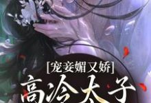 宠妾媚又娇，高冷太子为她失了魂小说的无弹窗阅读体验，寻找免费阅读网站-艾米文学