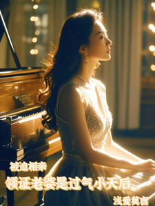 完结版《被迫相亲，领证老婆是过气小天后》章节阅读