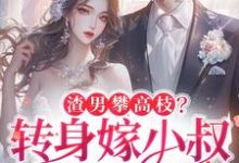求渣男攀高枝?转身嫁小叔被宠哭小说的全文免费阅读链接-艾米文学