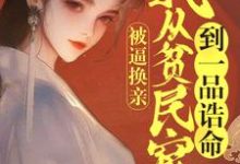 被逼换亲,我从贫民窟到一品诰命小说全文阅读需要付费吗?寻找免费资源-艾米文学
