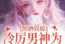 厉霆之宁晚晚小说醉酒误撩!冷厉男神为她沦陷情海完整版阅读-艾米文学