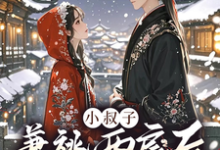 小叔子兼祧两房后，嫂嫂她逃了完整版小说，小叔子兼祧两房后，嫂嫂她逃了林眠厉明舟-艾米文学