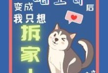 《变成哈士奇后我只想拆家》小说曾翊江成越章节章节免费在线阅读-艾米文学