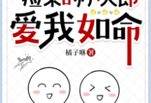 《捡来的小夫郎爱我如命》小说沈毅顾清章节章节免费在线阅读-艾米文学