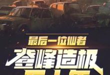 最后一位仙者，登峰造极五十年夏枫，最后一位仙者，登峰造极五十年小说免费阅读-艾米文学