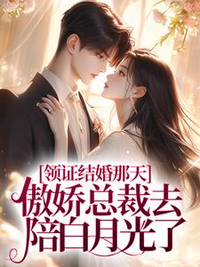 免费看领证结婚那天，傲娇总裁去陪白月光了小说的网站有哪些？