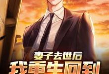 吴为小说完结版在线阅读，妻子去世后，我重生回到高考那年免费看-艾米文学