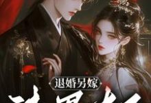 寻找能够免费阅读退婚另嫁，渣男太子怎么跪了小说的平台-艾米文学
