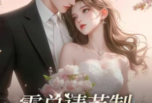 上司撩情，这办公室恋情我谈定了霍南霆林朝朝在线章节免费阅读-艾米文学