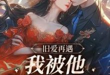 旧爱再遇，我被他钉在表白墙季淮生顾今昭，旧爱再遇，我被他钉在表白墙在线无弹窗阅读-艾米文学