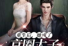 陆骁沈月见完整版《重生后,她成了京圈太子的心肝宠》小说免费阅读-艾米文学