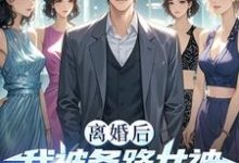 完结版《离婚后我被各路女神撩疯了!》在线免费阅读-艾米文学