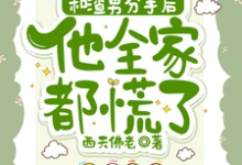 和渣男分手后，他全家都慌了小说全文阅读需要付费吗？寻找免费资源-艾米文学