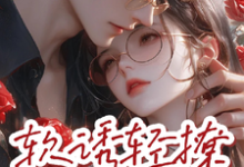 软诱，轻撩最新章节，软诱，轻撩免费阅读-艾米文学