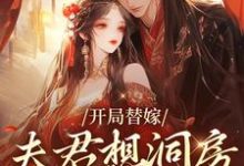 《开局替嫁,夫君想洞房先交一千两》小说大结局免费试读 苏挽宁无疆小说-艾米文学