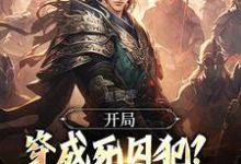 萧文进小说完整版《开局穿成死囚犯？别急，我能称王》免费阅读-艾米文学