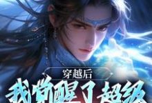 穿越后,我觉醒了超级锦衣卫系统小说无弹窗阅读的网站推荐-艾米文学