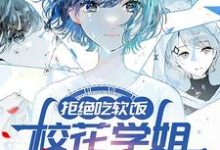 拒绝吃软饭,校花学姐气哭了小说最新更新在哪里?免费在线看-艾米文学