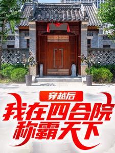 何雨柱小说穿越后，我在四合院称霸天下章节免费阅读