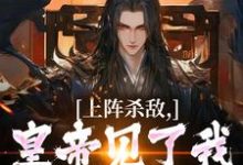 朱枫朱元璋小说免费阅读完整版-艾米文学
