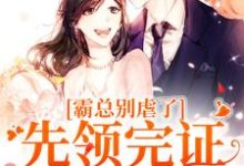 完结版《霸总别虐了！先领完证再打渣男》章节目录在线阅读-艾米文学