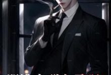 已完结小说《骂谁害群之马呢,叫我警神》章节在线阅读-艾米文学