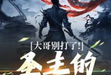 大哥别打了!圣主的心都碎了陈寻,大哥别打了!圣主的心都碎了小说免费阅读-艾米文学