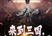 来到三国,这乱世我来平完整版小说,来到三国,这乱世我来平刘牧曹操-艾米文学