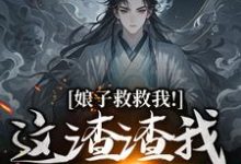 《娘子救救我!这渣渣我虐不完》小说大结局免费试读 司寻小说-艾米文学