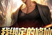 陈甲木小说完整版《我绑定的修仙系统有点癫》免费阅读-艾米文学