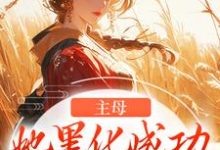 小说《主母她黑化成功，完虐恶婆母》章节免费阅读-艾米文学