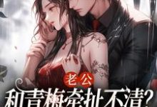 老公和青梅牵扯不清？我放你自由！小说完结版章节免费阅读-艾米文学