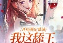 小说《开局绑定系统,我这舔王成团宠》在线章节阅读-艾米文学