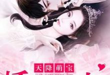 小说完整版《天降萌宝:娇妻归来》免费阅读-艾米文学