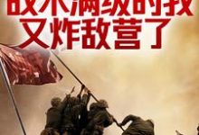 抗战：战术满级的我又炸敌营了林天尘王建堂小说在线章节免费阅读-艾米文学