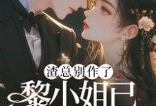 已完结小说《渣总别作了,黎小姐已另嫁豪门》章节在线阅读-艾米文学