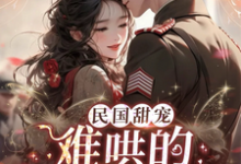 民国甜宠：难哄的段四小姐这本小说怎么样？免费在线阅读试试-艾米文学