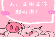 在线免费阅读程队要追的男人：又刚又冷超难追完整小说-艾米文学