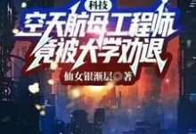 小说《科技:空天航母工程师,竟被大学劝退?》完整版章节免费阅读-艾米文学