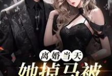 离婚当天,她掉马被顶级娘家接回最新章节,离婚当天,她掉马被顶级娘家接回免费阅读-艾米文学