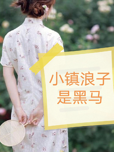 哪里能找到小镇浪子是黑马小说的全部章节？