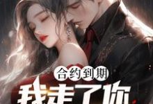 白志完整版《合约到期，我走了你才求原谅？》小说免费阅读-艾米文学