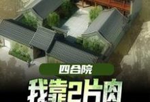 四合院:我靠2片肉俘获秦淮茹芳心王建安秦淮茹,四合院:我靠2片肉俘获秦淮茹芳心小说免费阅读-艾米文学
