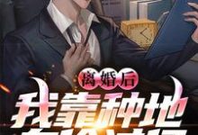 求离婚后，我靠种地身价过亿小说免费资源-艾米文学