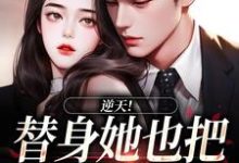 逆天！替身她也把总裁当替身小说最新更新在哪里？免费在线看-艾米文学