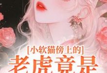 已完结小说《小软猫傍上的老虎竟是帝国大佬》在线章节阅读-艾米文学