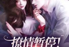 江心白杨劲生小说撩情暂停!咱们先炫饭章节免费阅读-艾米文学