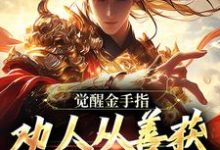 小说《觉醒金手指：劝人从善获决定武力值》完整版在线章节免费阅读-艾米文学